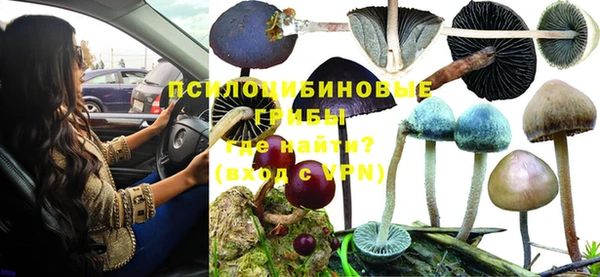 прущая мука Дмитровск