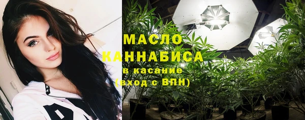 сатива Дмитриев