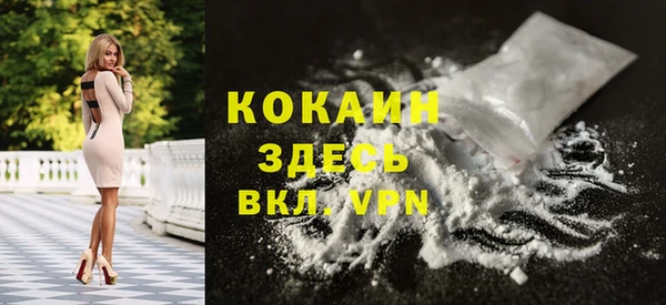 сатива Дмитриев