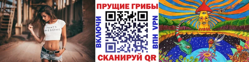 Купить  Кировск  Псилоцибиновые грибы мухоморы 