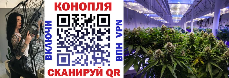 Купить  Кировск  Конопля планчик 